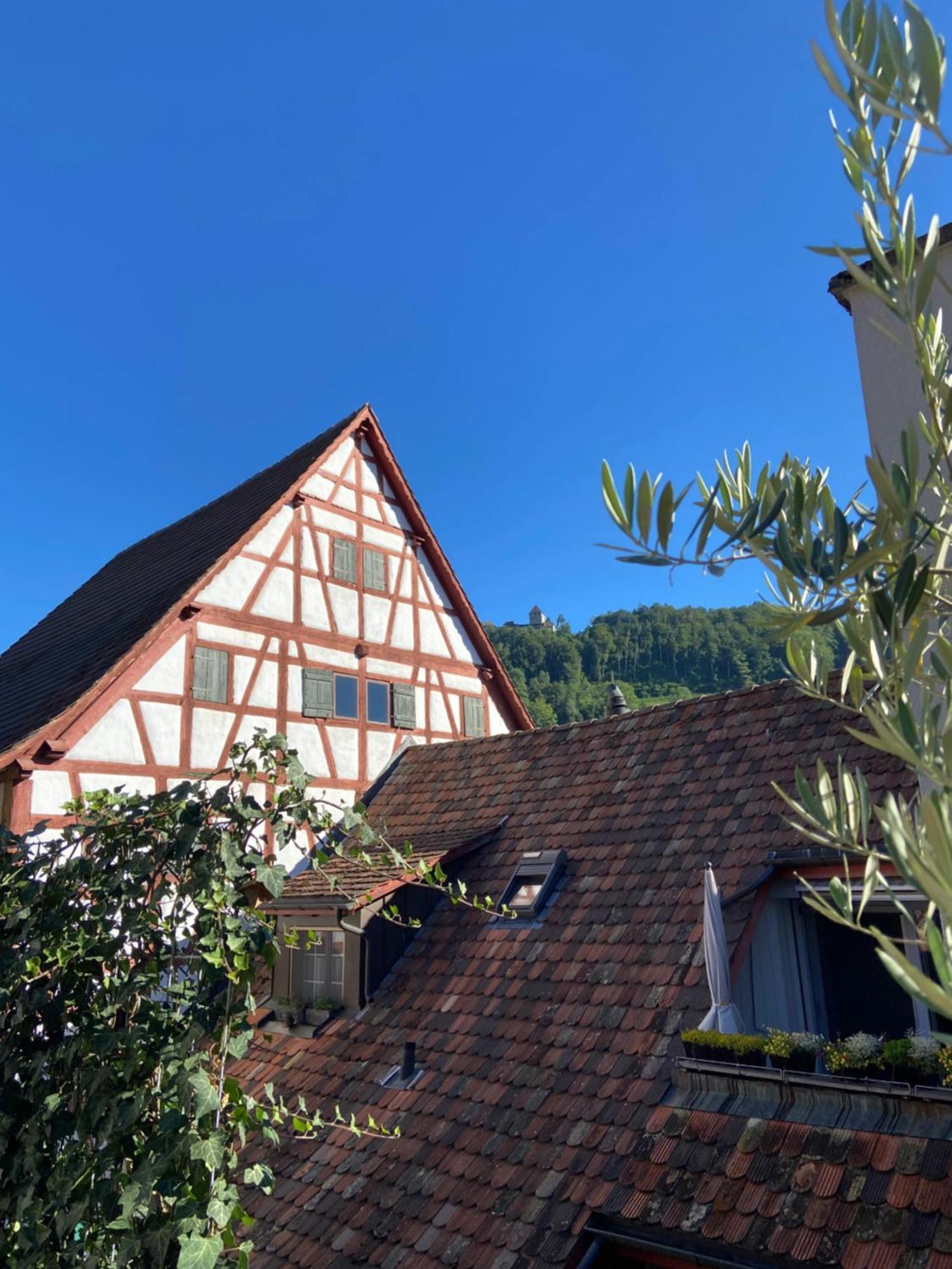 Understadt 14 Guesthouse Stein Am Rhein Exterior foto